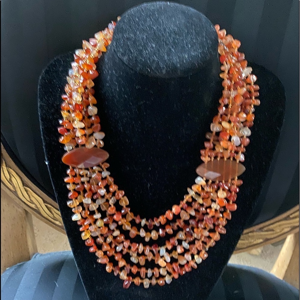 Baltic Amber Multi-Colored Necklace (or) Carnelian Agate